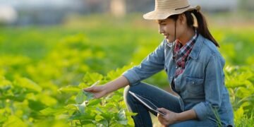 Ragi Roti Sebagai Pupuk: Cara Baru Untuk Menyuburkan Tanah Anda