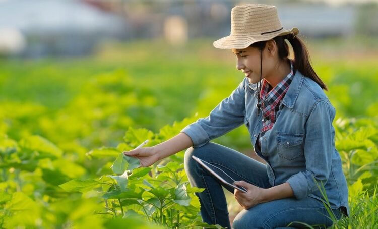 Ragi Roti Sebagai Pupuk: Cara Baru Untuk Menyuburkan Tanah Anda