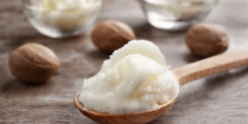 Rahasia Tersembunyi Shea Butter: Mengapa Lemak Nabati Populer Ini Lebih dari Sekadar Produk Kecantikan