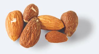 Dissimilar Almond Grading USDA