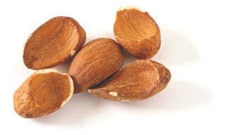 Doubles Almond Grading USDA