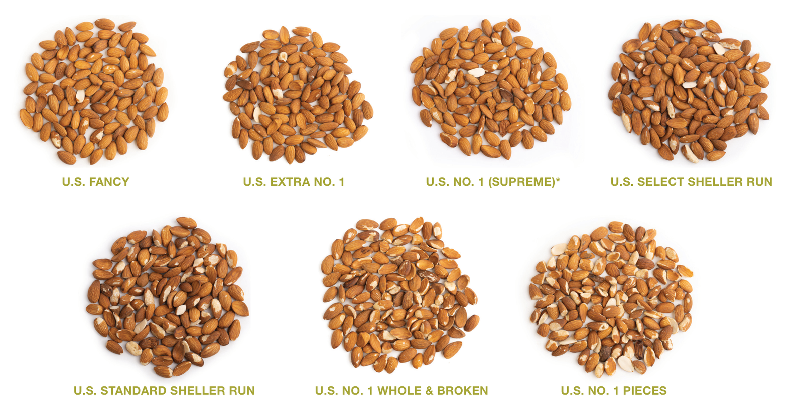 Visualisasi Grading Almond Standar USDA